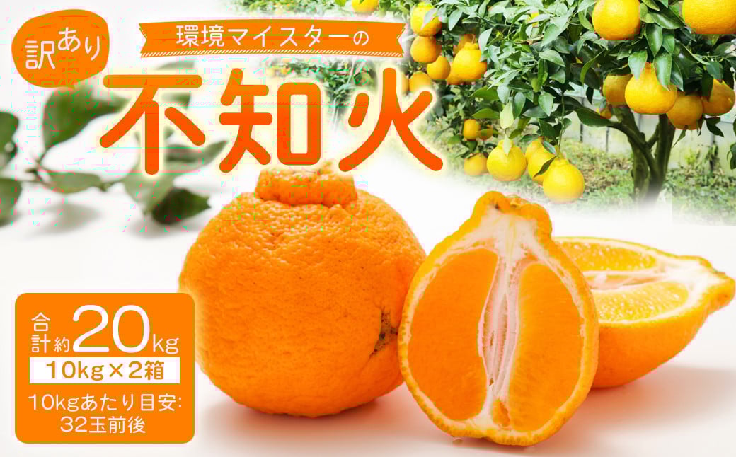 【訳あり】環境マイスターの不知火 20kg （栽培期間中は無肥料・低農薬） 果物 くだもの フルーツ 不知火 しらぬい 柑橘 みかん 【2026年2月上旬〜5月上旬迄順次発送予定】