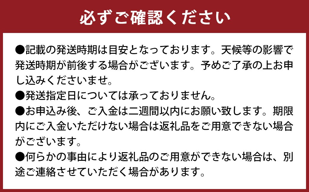 環境マイスターの不知火 訳あり 4kg（栽培期間中は無肥料・低農薬） くだもの 果物 フルーツ 不知火 しらぬい みかん 柑橘 【2026年2月上旬〜5月上旬迄順次発送予定】