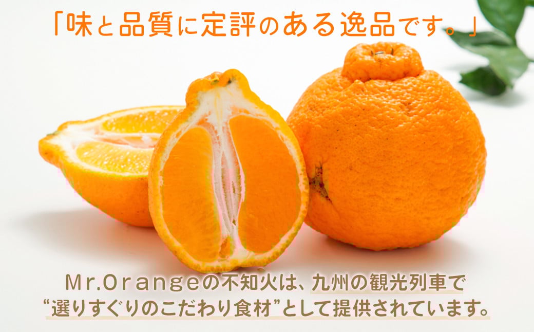 【訳あり】環境マイスターの不知火 20kg （栽培期間中は無肥料・低農薬） 果物 くだもの フルーツ 不知火 しらぬい 柑橘 みかん 【2026年2月上旬〜5月上旬迄順次発送予定】