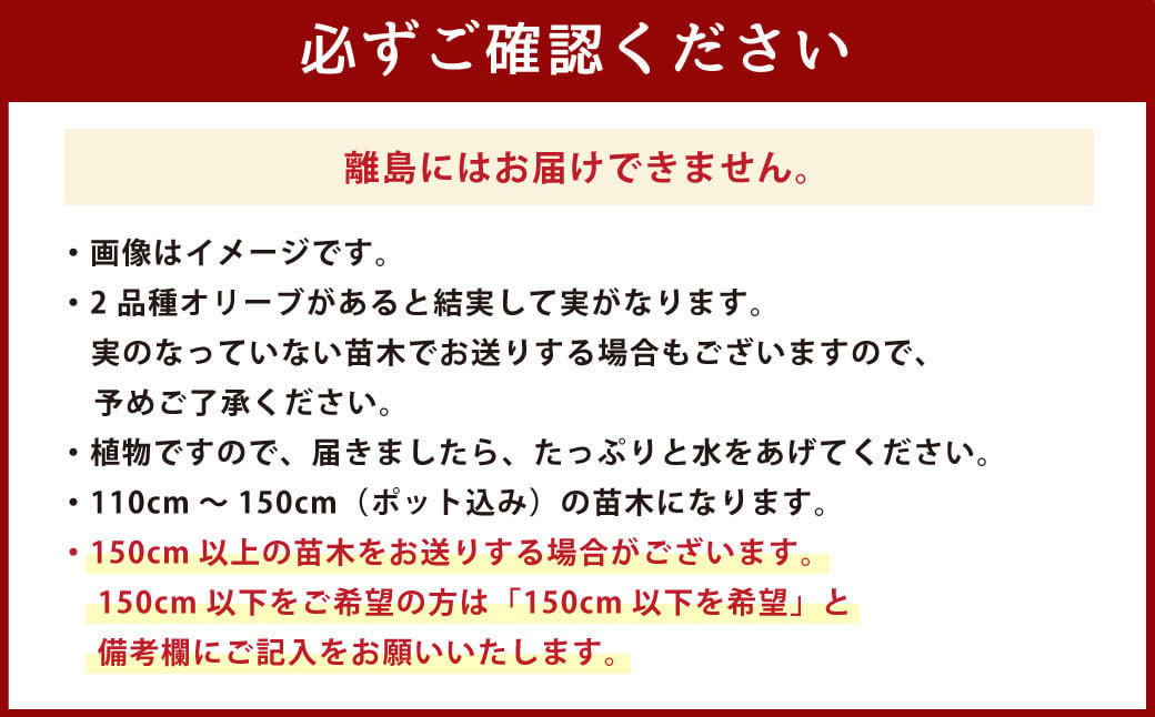 オリーブツリー 1鉢 育成ガイドブック付き 植物 鉢植え