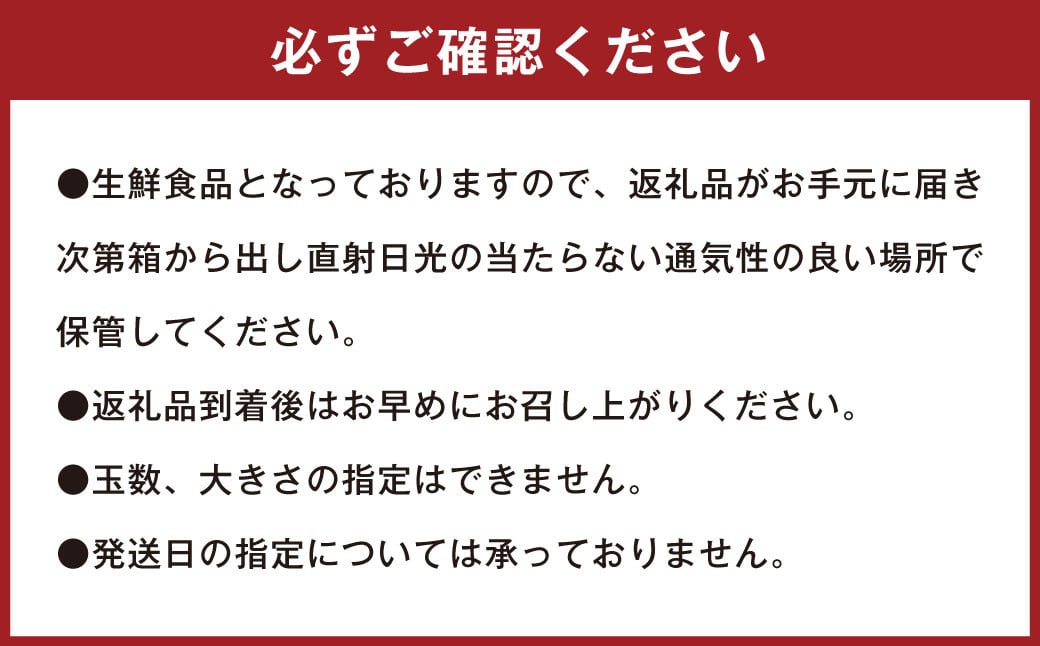 潮風をたっぷり受けた濃厚不知火 15～18玉 （ 約4.5kg ） 【2025年2月下旬～3月上旬迄発送予定】 デコポン みかん 柑橘 果物 フルーツ 熊本