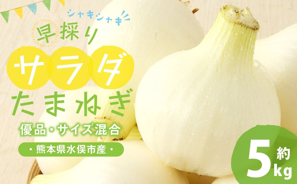 1年に1度だけ!甘くて柔らかい!早採りサラダ玉ねぎ 約5kg 優品 サイズ混合 玉ねぎ タマネギ 玉葱 サラたま 春 新たまねぎ 国産 熊本県 水俣市産  ＜栽培期間中農薬不使用/熊本県水俣市産/耕人舎＞【2026年3月下旬-4月下旬順次発送予定】