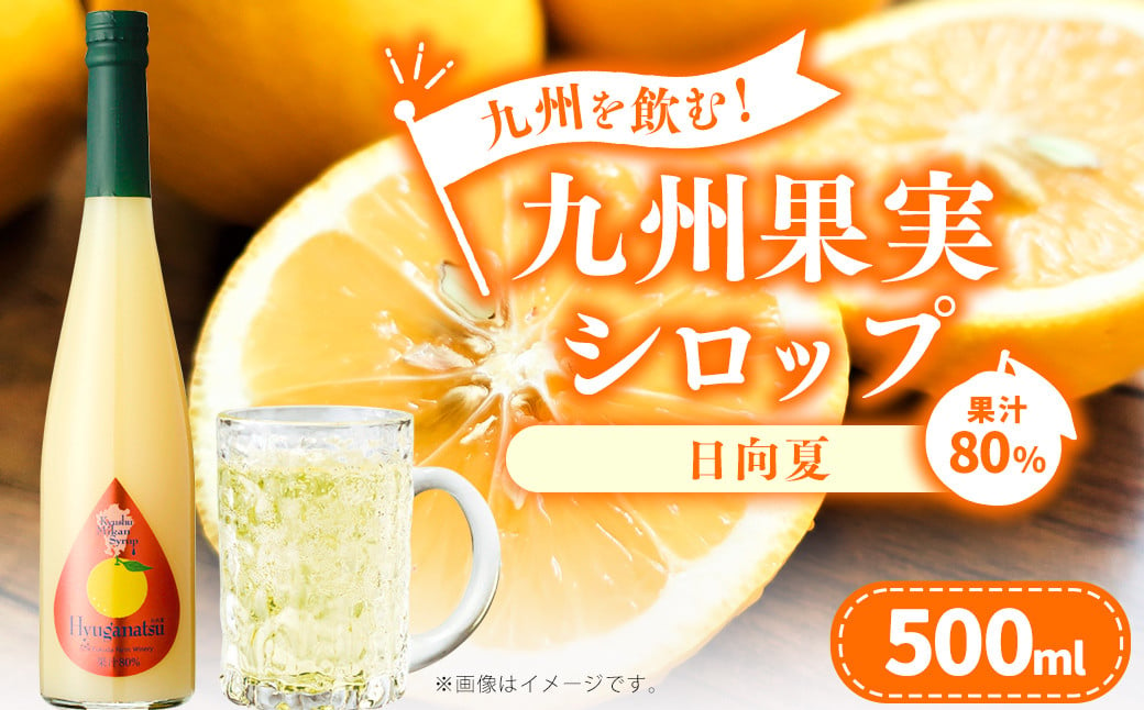 九州を飲む！九州果実 シロップ 日向夏 500ml 1本 約25杯分 フルーツ 果物 ジュース