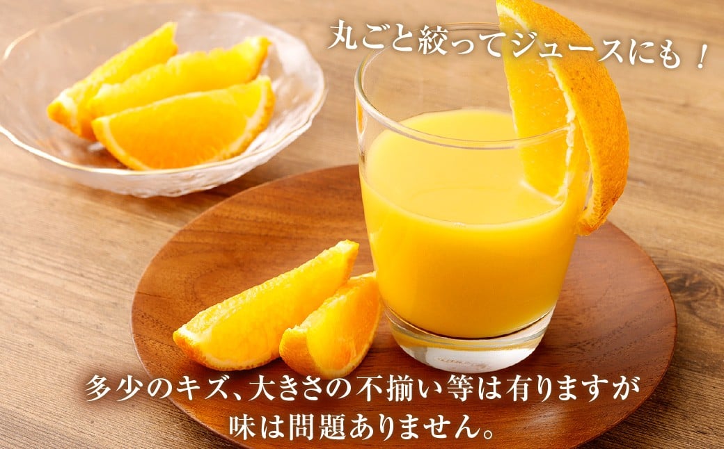 【訳あり】 ご家庭用 濃厚不知火 10～20玉 （ 約4kg ） デコポン みかん 柑橘 果物 フルーツ 熊本 【2026年2月下旬～3月上旬迄発送予定】