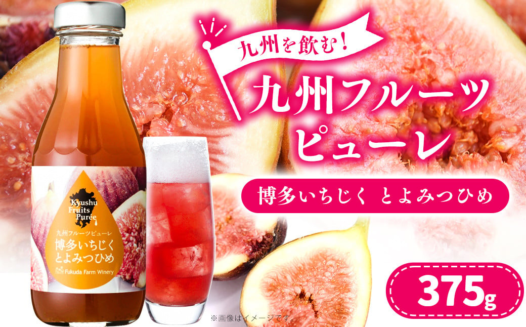 「年内発送」九州を飲む！九州 フルーツ ピューレ いちじくとよみつひめ 375g 1本 いちじく シロップ ソース カクテル