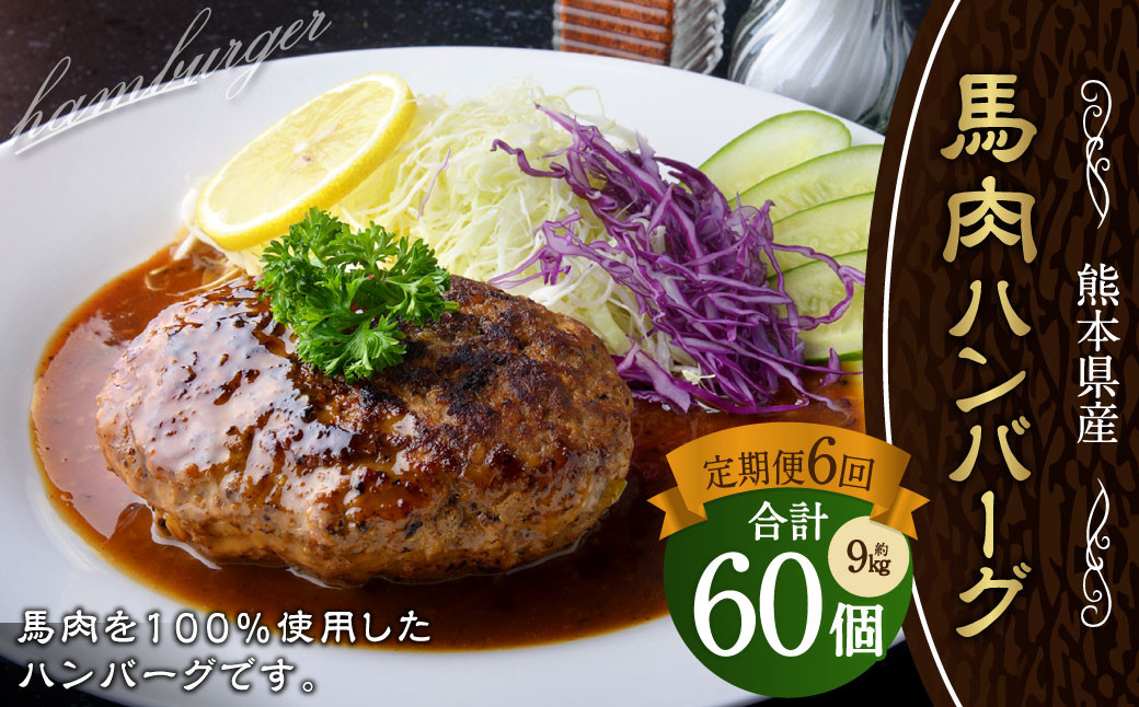 【定期便6回】 馬肉ハンバーグ 約150g×10個 計約9kg 馬 熊本 冷凍 小分け【C39Z6】