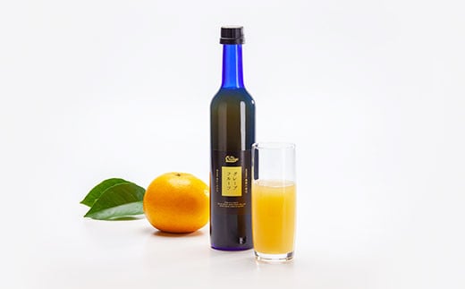 【2024年5月上旬より発送開始】 果汁100％ グレープフルーツ ジュース 500ml × 3本 セット