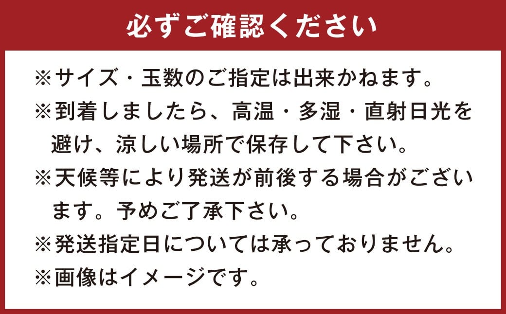 不知火（デコポン同品種）18～37玉 約8㎏ 【2026年2月上旬～4月上旬迄発送予定】 みかん 不知火 フルーツ 果物 詰合せ 贈答品 常温 熊本県 水俣市