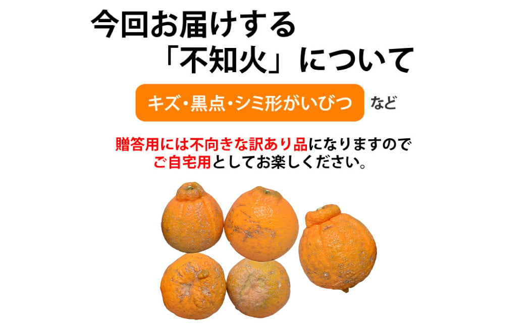 訳あり不知火 約7kg しらぬい 柑橘 果物 フルーツ 【2025年1月下旬から2025年4月下旬発送予定】