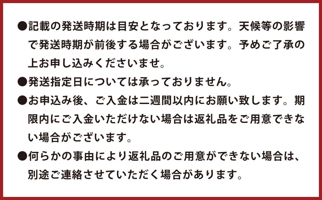 環境マイスターのポンカン 良品・訳あり混合 4kg（栽培期間中は無肥料・無農薬）果物 くだもの フルーツ ぽんかん 柑橘 みかん【2025年1月下旬‐3月上旬迄順次発送予定】