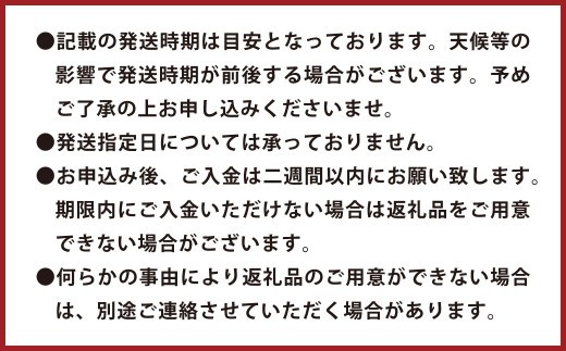 環境マイスターの不知火 良品2.5kg （栽培期間中は無肥料・低農薬） 果物 くだもの フルーツ 不知火 しらぬい 柑橘 みかん 【2026年1月上旬〜4月下旬迄順次発送予定】