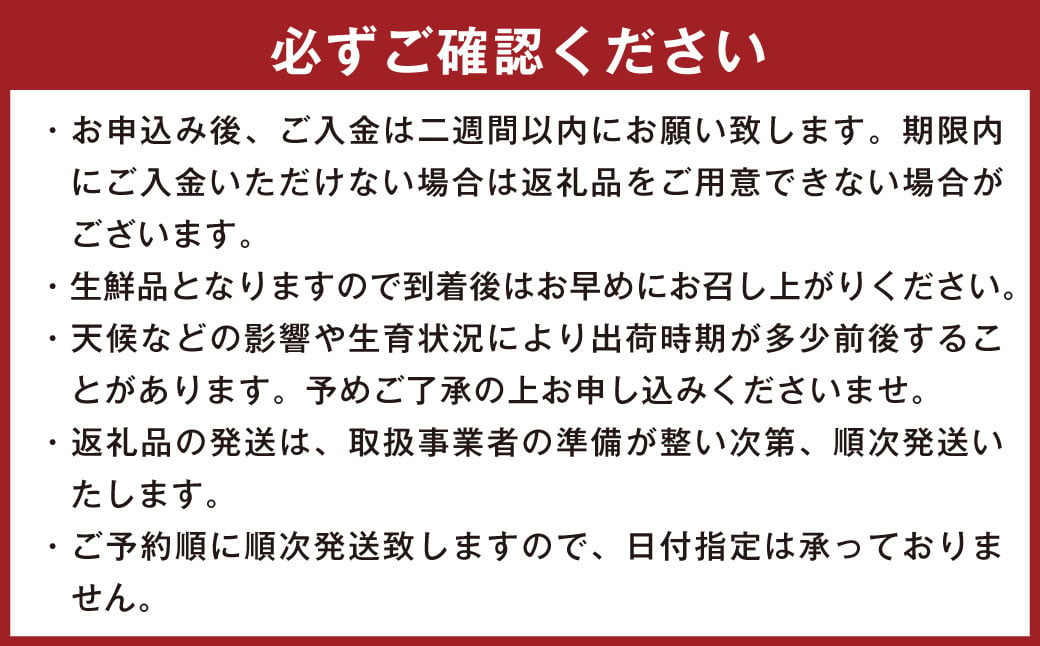 不知火 約7kg（15〜28玉） しらぬい 果物 くだもの フルーツ 柑橘 【2025年2月上旬-4月上旬発送予定】