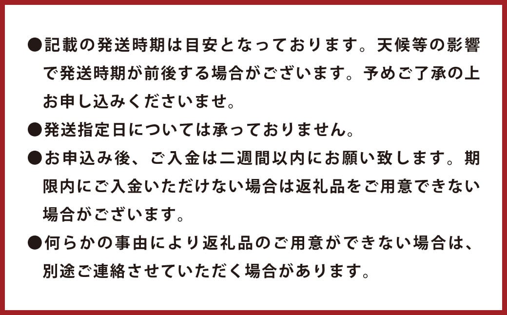 環境マイスターの不知火 訳あり 4kg（栽培期間中は無肥料・低農薬） くだもの 果物 フルーツ 不知火 しらぬい みかん 柑橘 【2025年2月上旬‐5月上旬迄順次発送予定】