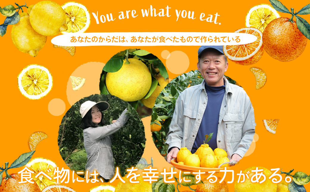 環境マイスターの不知火 訳あり 4kg（栽培期間中は無肥料・低農薬） くだもの 果物 フルーツ 不知火 しらぬい みかん 柑橘 【2026年2月上旬〜5月上旬迄順次発送予定】