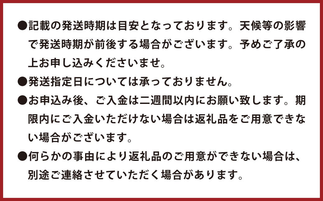 環境マイスターのグレープフルーツ 良品・訳あり 混合 4kg （栽培期間中は無肥料・無農薬）【2025年3月下旬‐5月下旬迄順次発送予定】