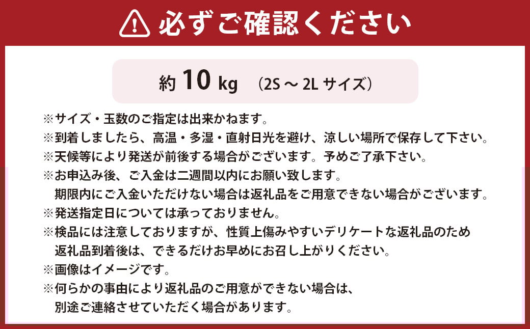 æž©å·ã¿ãã çŽ10kg 2Sã2Lãµã€ãº æž©å· ã¿ãã ãã«ã³ èæ æç© ãã«ãŒã å£ç¯ æ¬ åœç£ ä¹å· çæ¬ç æ°Žä¿£åž ã2026幎11æäžæ¬-2027幎2æäžæ¬è¿çºéäºå®ã