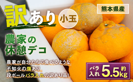 農家の休憩デコ 訳あり 小玉 約5.5kg 【2024年5月上旬～2024年7月上旬発送】