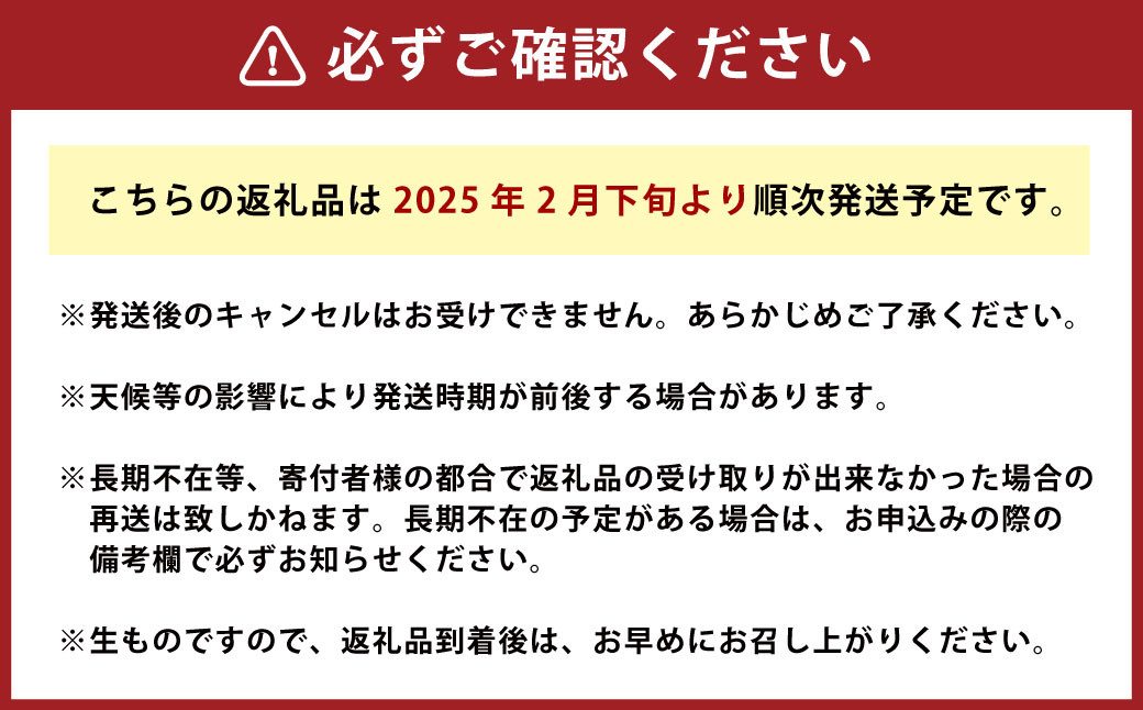 甘くて柔らかい！早採りサラダ玉ねぎ 5kg (優品・サイズ混合）＜栽培期間中無農薬・無化学肥料栽培／熊本県水俣市産／耕人舎＞ 玉ねぎ タマネギ 野菜 サラダ 【2025年2月下旬～4月下旬発送予定】