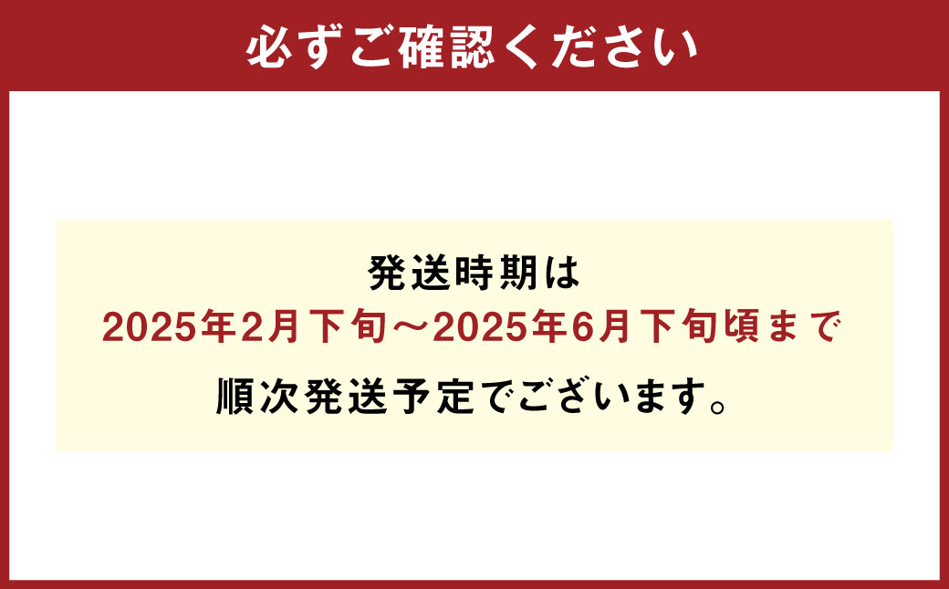 パクパクデコ 約3.5kg 訳あり 大玉 【2025年2月下旬～6月下旬発送】