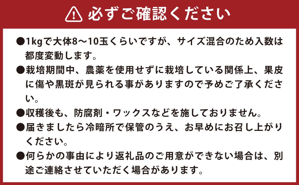 環境マイスターのレモン 3kg（栽培期間中は無肥料・無農薬）【2024年11月上旬‐2025年4月下旬迄順次発送予定】