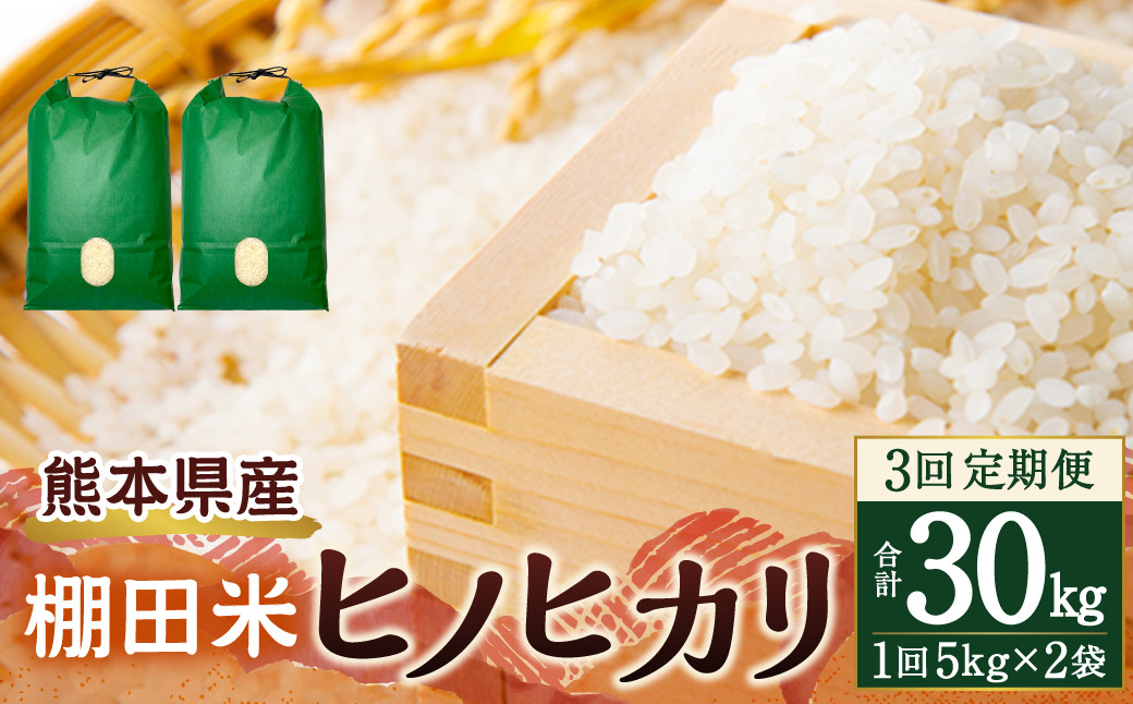 【3回定期便】 熊本県産 棚田米 ヒノヒカリ合計30kg (5kg×2袋) ×3回 お米 定期