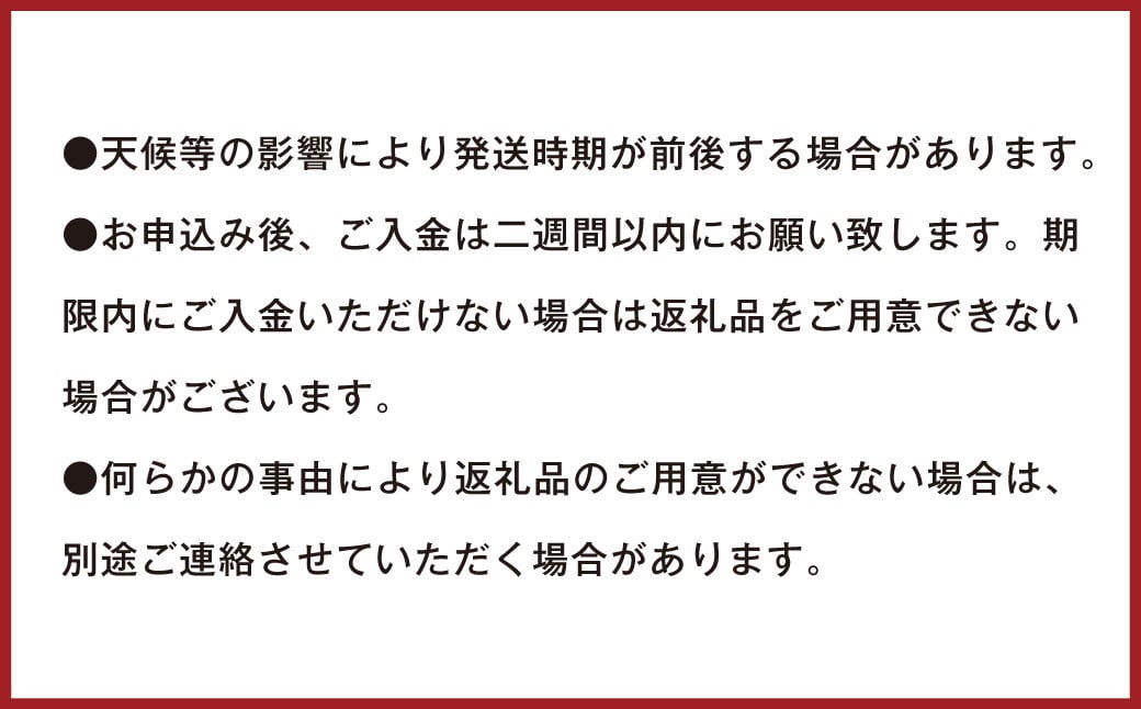 【訳あり】 ご家庭用 濃厚不知火 25～40玉 （ 約8kg ） 【2025年2月下旬～3月上旬迄発送予定】  デコポン みかん 柑橘 果物 フルーツ 熊本