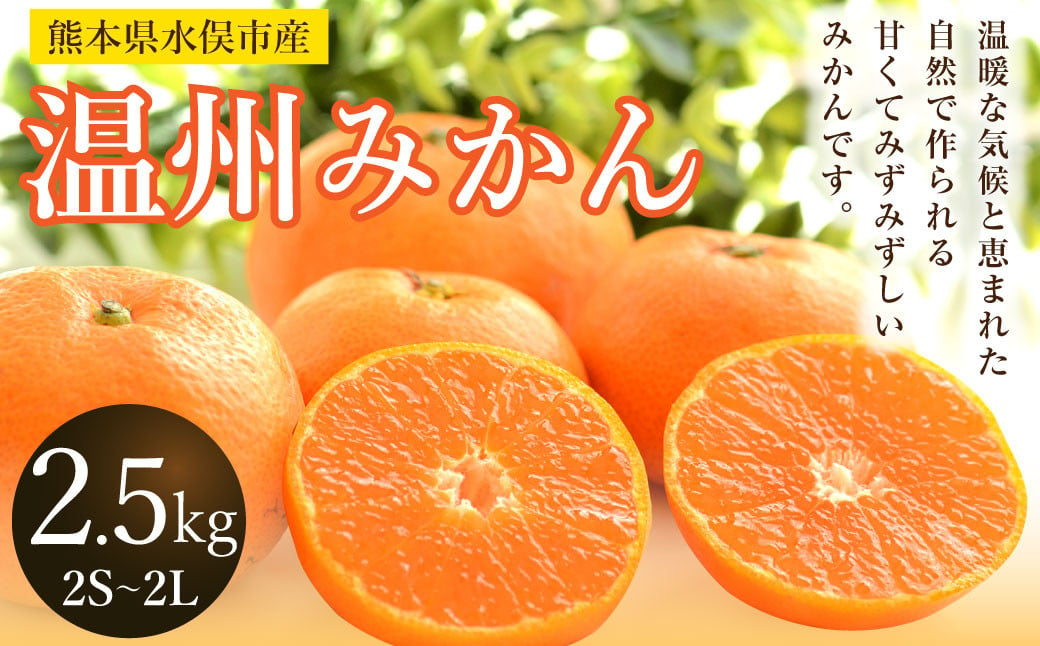 温州みかん 約2.5kg 2S～2L みかん 果物 くだもの フルーツ 柑橘 【2024年12月上旬までに発送予定】