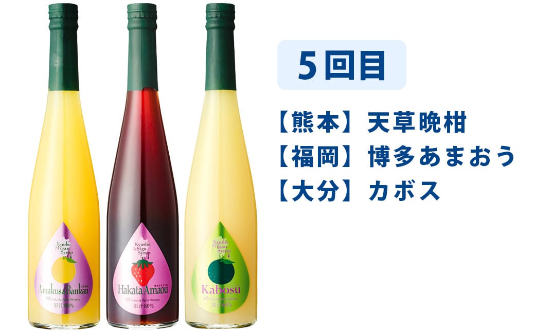 【6ヶ月定期便】 九州を飲む！毎月届く 九州果実シロップ 飲み比べセット 500ml×3本×6回 果物 フルーツ ジュース