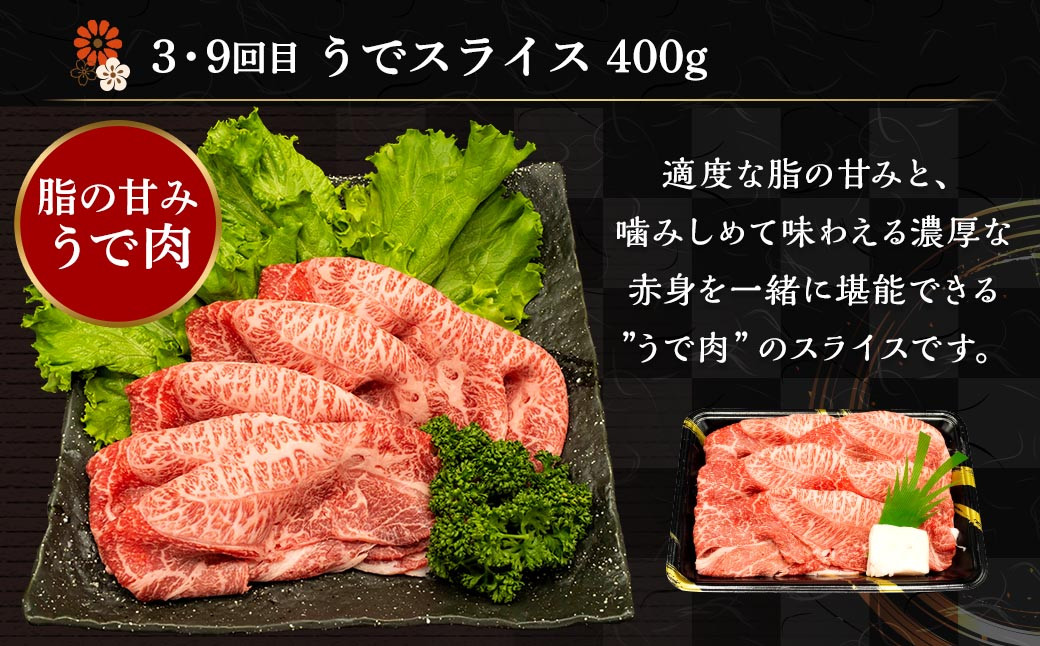 【12ヶ月定期便】 熊本県産 A5等級 黒毛和牛 和王 食べ比べ 合計約8kg 牛肉 セット