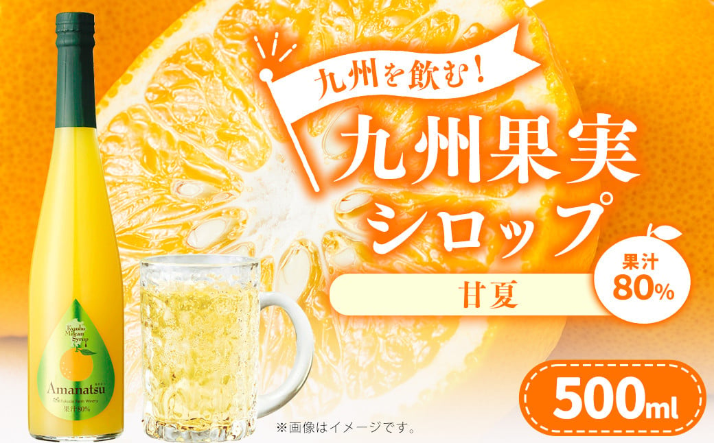 九州を飲む！九州果実 シロップ 甘夏 果物 フルーツ 柑橘 ジュース