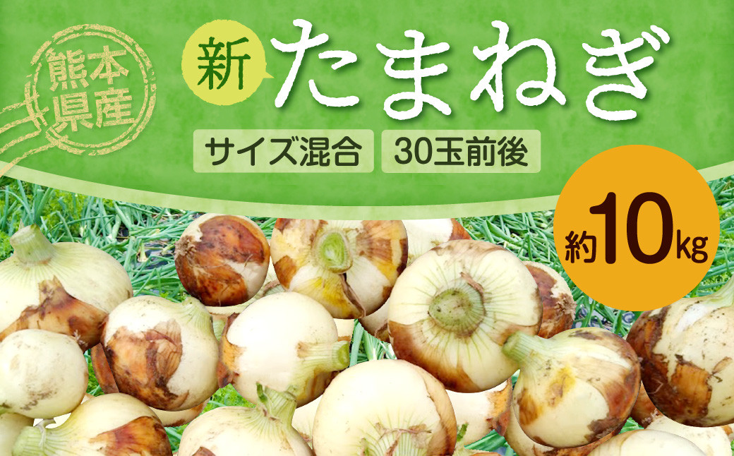 熊本県産 新たまねぎ サイズ混合 約10kg 30玉前後 野菜 タマネギ 玉ねぎ サラダ 【2025年3月上旬‐4月上旬迄発送予定】