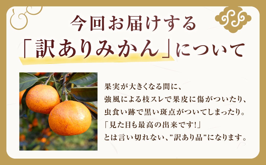 訳あり みかん 約5kg 蜜柑 ミカン 果物 くだもの フルーツ 【2024年10月上旬から2025年2月下旬発送予定】