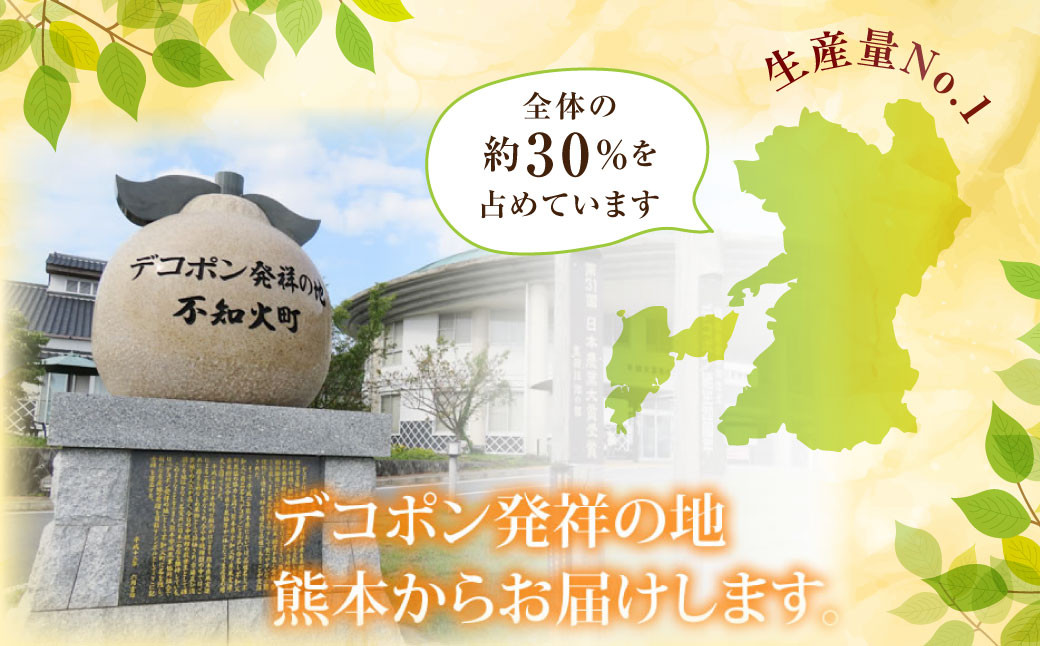 訳ありデコみかん 箱込10kg （内容量 約9.5kg） 柑橘 果物 デコ みかん フルーツ わけあり 訳アリ 自宅用 【2025年1月下旬から2025年4月下旬発送予定】