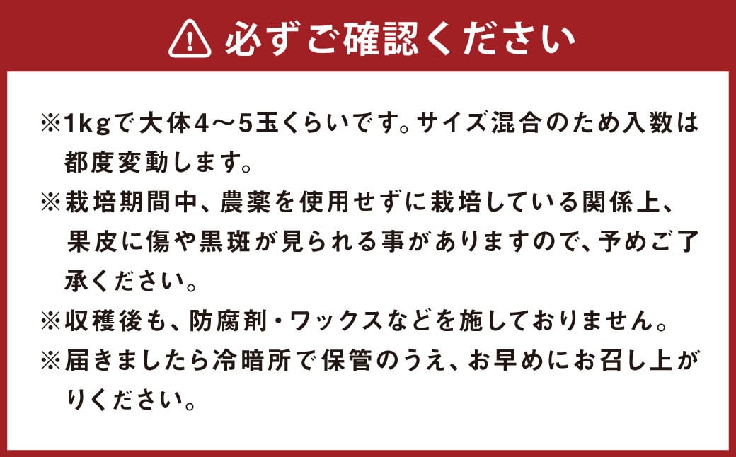 環境マイスターのブラッドオレンジ 良品・訳あり混合 3kg 【2025年2月上旬～3月上旬迄順次発送予定】 オレンジ くだもの 果物 フルーツ ブラッドオレンジ