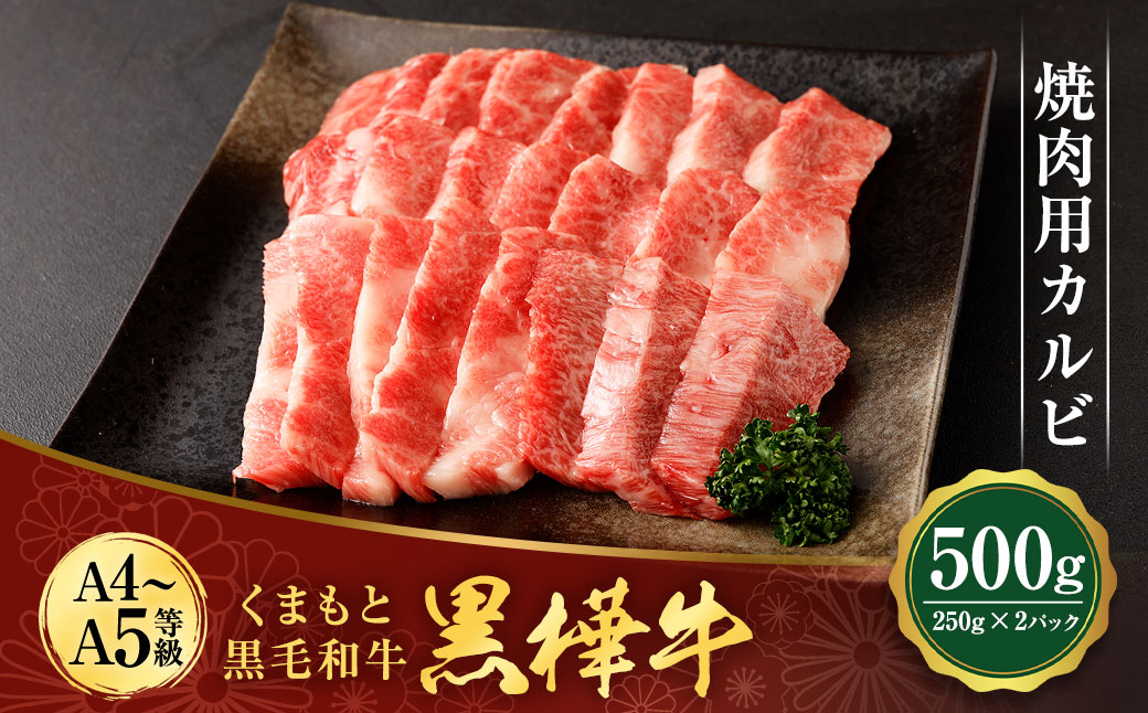くまもと黒毛和牛 杉本本店 黒樺牛 A4~A5等級 焼肉用カルビ 250g×2 計500g
