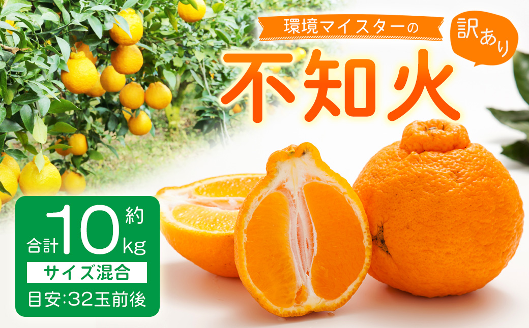 【訳あり】環境マイスターの不知火 10kg （栽培期間中は無肥料・低農薬） 果物 くだもの フルーツ 不知火 しらぬい 柑橘 みかん 【2026年2月上旬〜5月上旬迄順次発送予定】