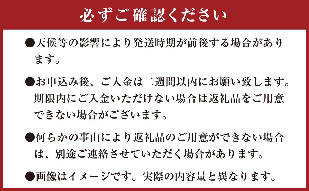 ひとさじでおうちごはんを整える発酵調味料・玉ねぎ麹 （1個） 玉ねぎ 麹 熊本県 水俣市