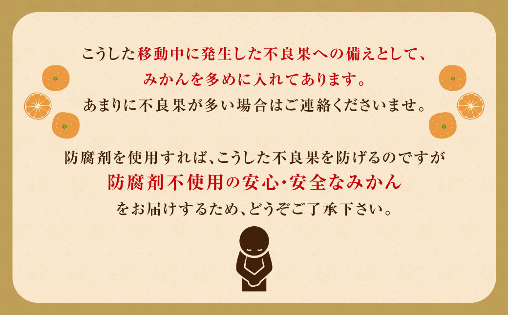 訳あり みかん 約10kg 蜜柑 ミカン 果物 くだもの フルーツ 【2024年10月上旬から2025年2月下旬発送予定】