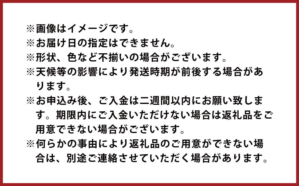 甘夏みかん 8kg  みかん オレンジ 柑橘【2025年2月下旬～4月下旬発送】