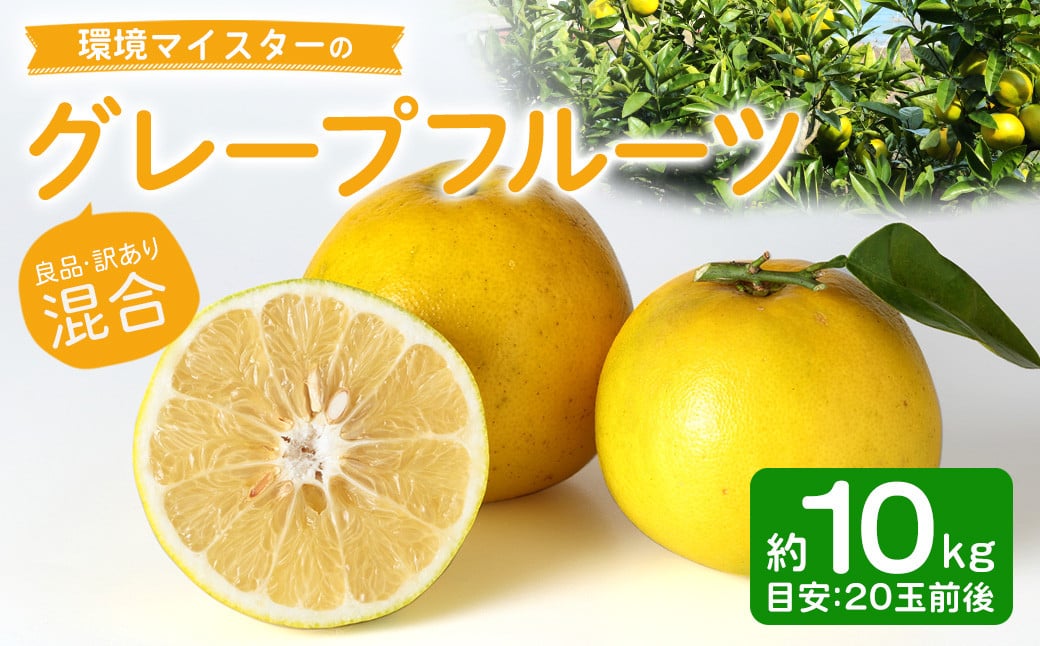 環境マイスターのグレープフルーツ 良品・訳あり混合 10kg （栽培期間中は無肥料・農薬不使用） 果物 くだもの フルーツ グレープフルーツ 柑橘 【2026年3月下旬〜5月下旬迄順次発送予定】