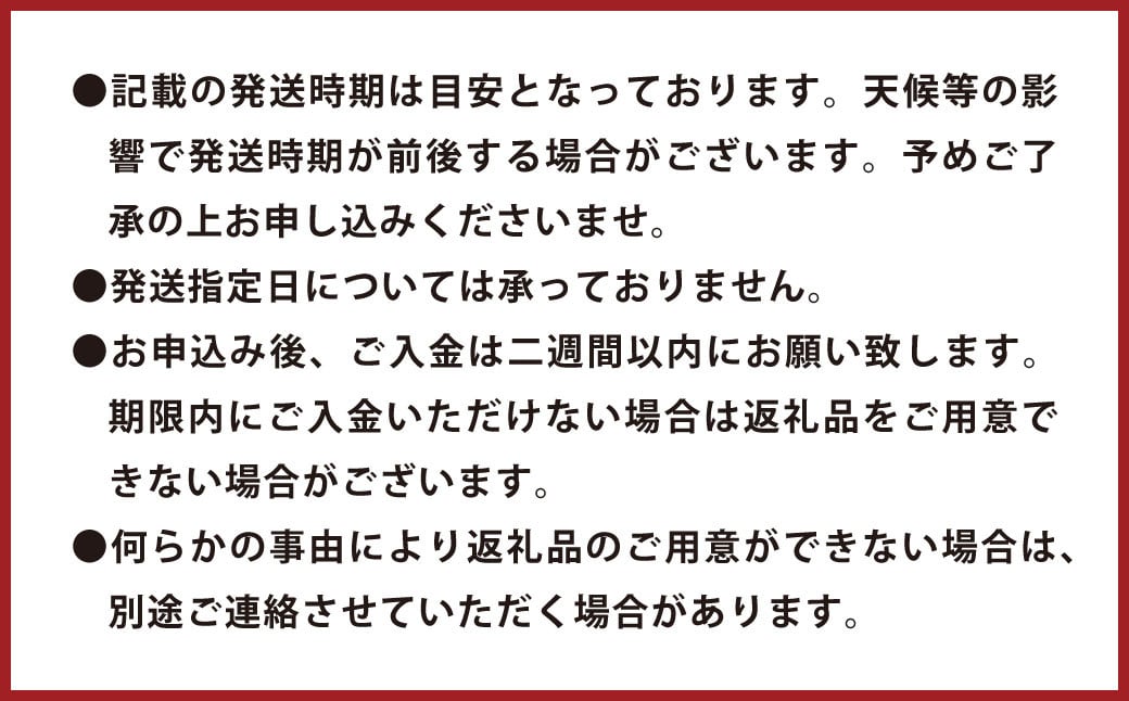  環境マイスターのパール柑 良品・訳あり混合 4kg （栽培期間中は無肥料・無農薬）【2025年2月上旬‐4月上旬迄順次発送予定】