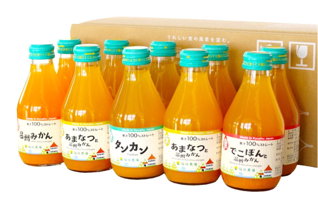 「年内発送」【飲み比べ】 九州まるごとしぼり 10本(各180ml) セット 4種 果汁100％ ジュース