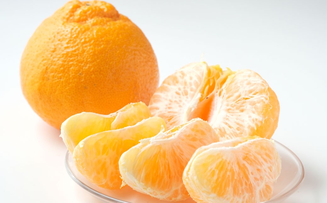 不知火（デコポン同品種）18～37玉 約8㎏ 【2026年2月上旬～4月上旬迄発送予定】 みかん 不知火 フルーツ 果物 詰合せ 贈答品 常温 熊本県 水俣市