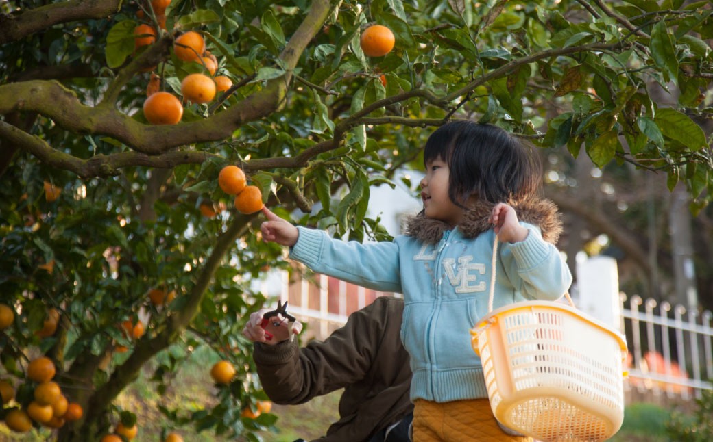 ãé£²ã¿æ¯ã¹ã ä¹å·ãŸãããšããŒã 10æ¬(å180ml) ã»ãã 4çš® èš1800ml ææ±100ïŒ
ãžã¥ãŒã¹