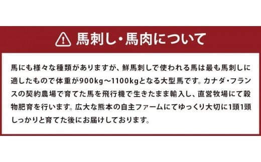 鮮馬刺し ロース 約400g タレ付き 馬刺し 馬肉 ブロック