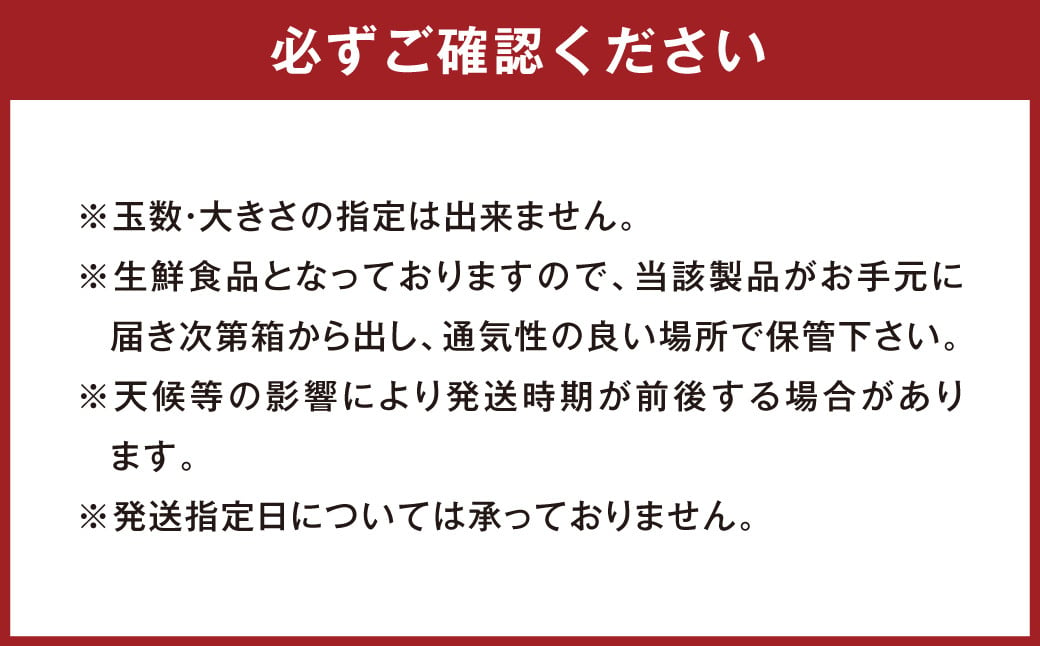 【訳アリ】 熊本県産 不知火 (デコポン同一品種) 約10kg (26玉～40玉)