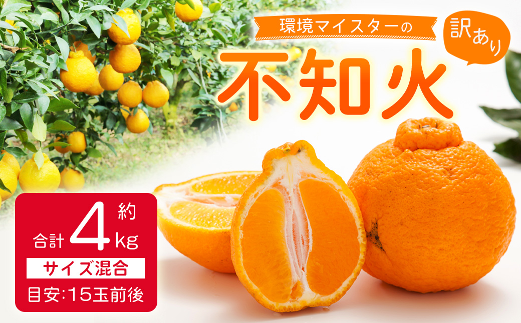 環境マイスターの不知火 訳あり 4kg（栽培期間中は無肥料・低農薬） くだもの 果物 フルーツ 不知火 しらぬい みかん 柑橘 【2026年2月上旬〜5月上旬迄順次発送予定】