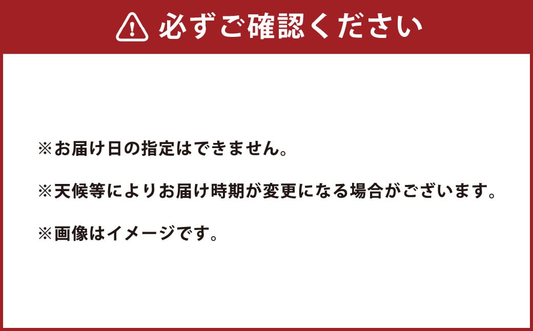  熊本県産 そらまめ 約4kg 3粒以上 80本前後 野菜 豆類 そら豆 【2025年4月上旬‐4月下旬迄発送予定】