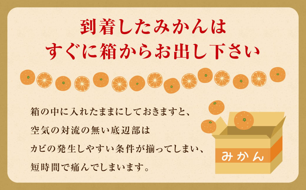 訳あり みかん 約5kg 蜜柑 ミカン 果物 くだもの フルーツ 【2024年10月上旬から2025年2月下旬発送予定】