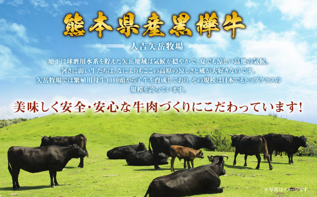 くまもと黒毛和牛 杉本本店 黒樺牛 A4～A5等級 すき焼き用 スライス盛合わせ セット 計650g タレ1本